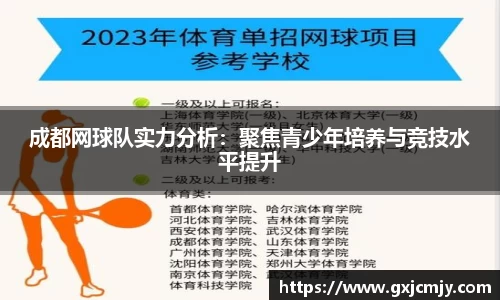 成都网球队实力分析：聚焦青少年培养与竞技水平提升