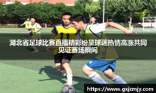 湖北省足球比赛直播精彩纷呈球迷热情高涨共同见证赛场瞬间